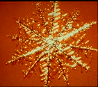[Snowflake 3]