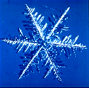 [Snowflake 1]