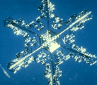 [Snowflake 4]