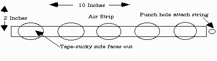 picture of strip