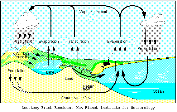[Picture of Water Cycle]